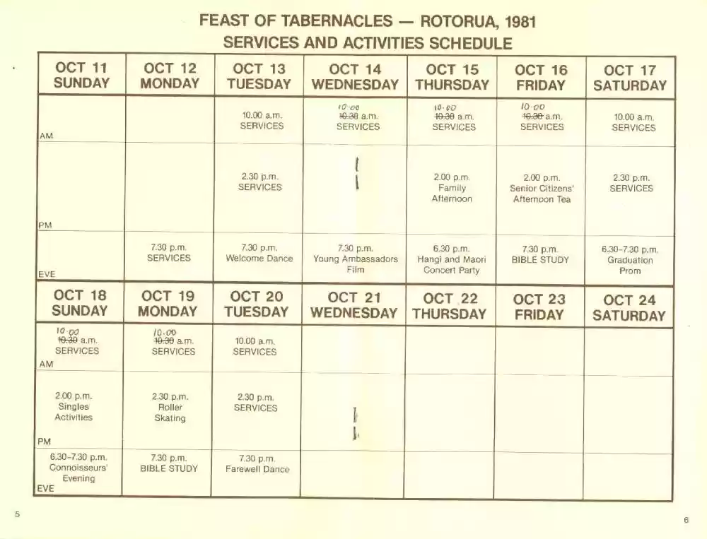 1981